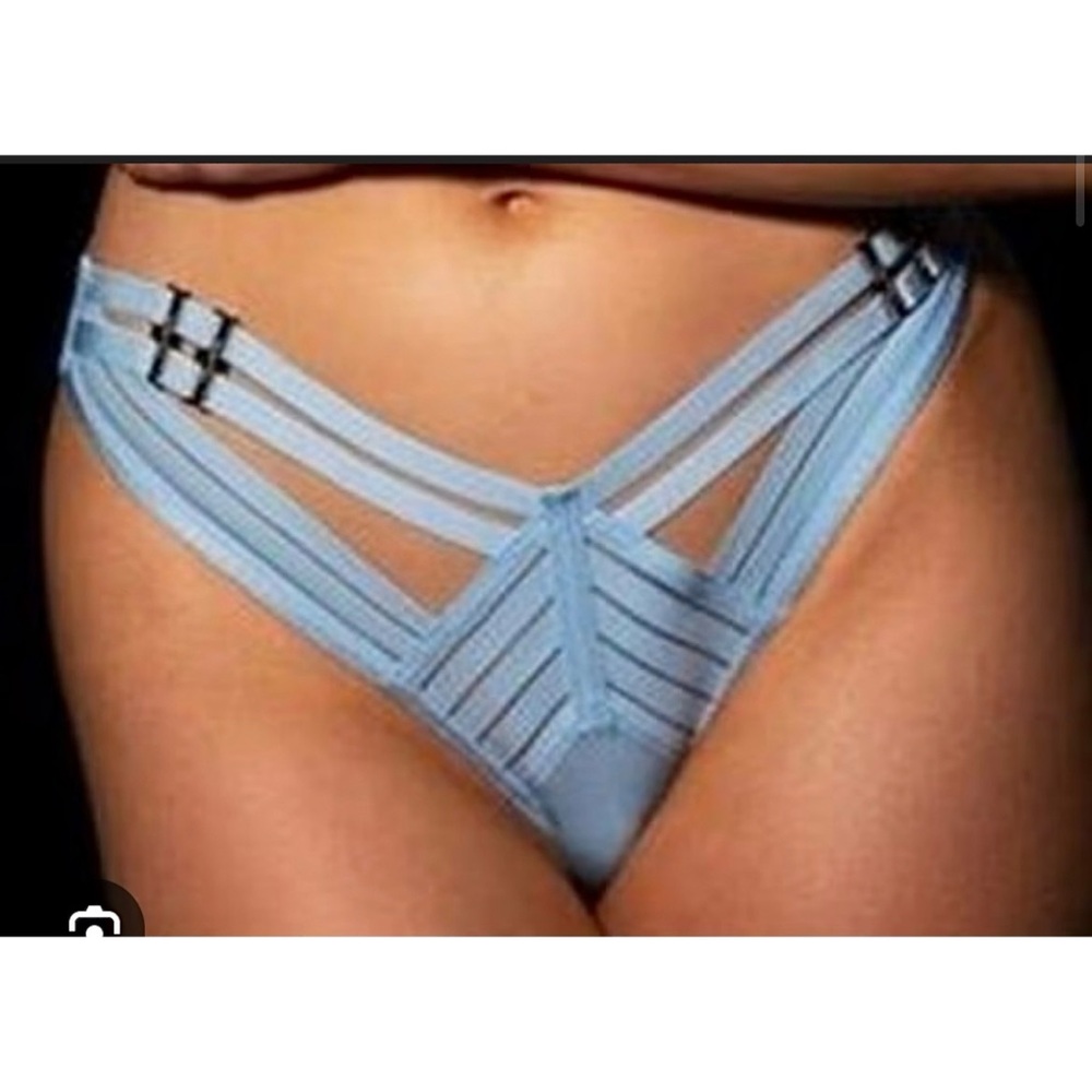 NWT Honey Birdette Linda C blue panty size Large